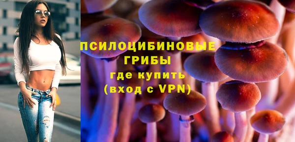 PSILOCYBIN Бородино