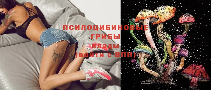 Псилоцибиновые грибы прущие грибы  даркнет как зайти  Комсомольск-на-Амуре 